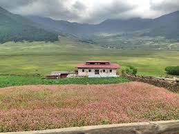 Phobjikha Valley