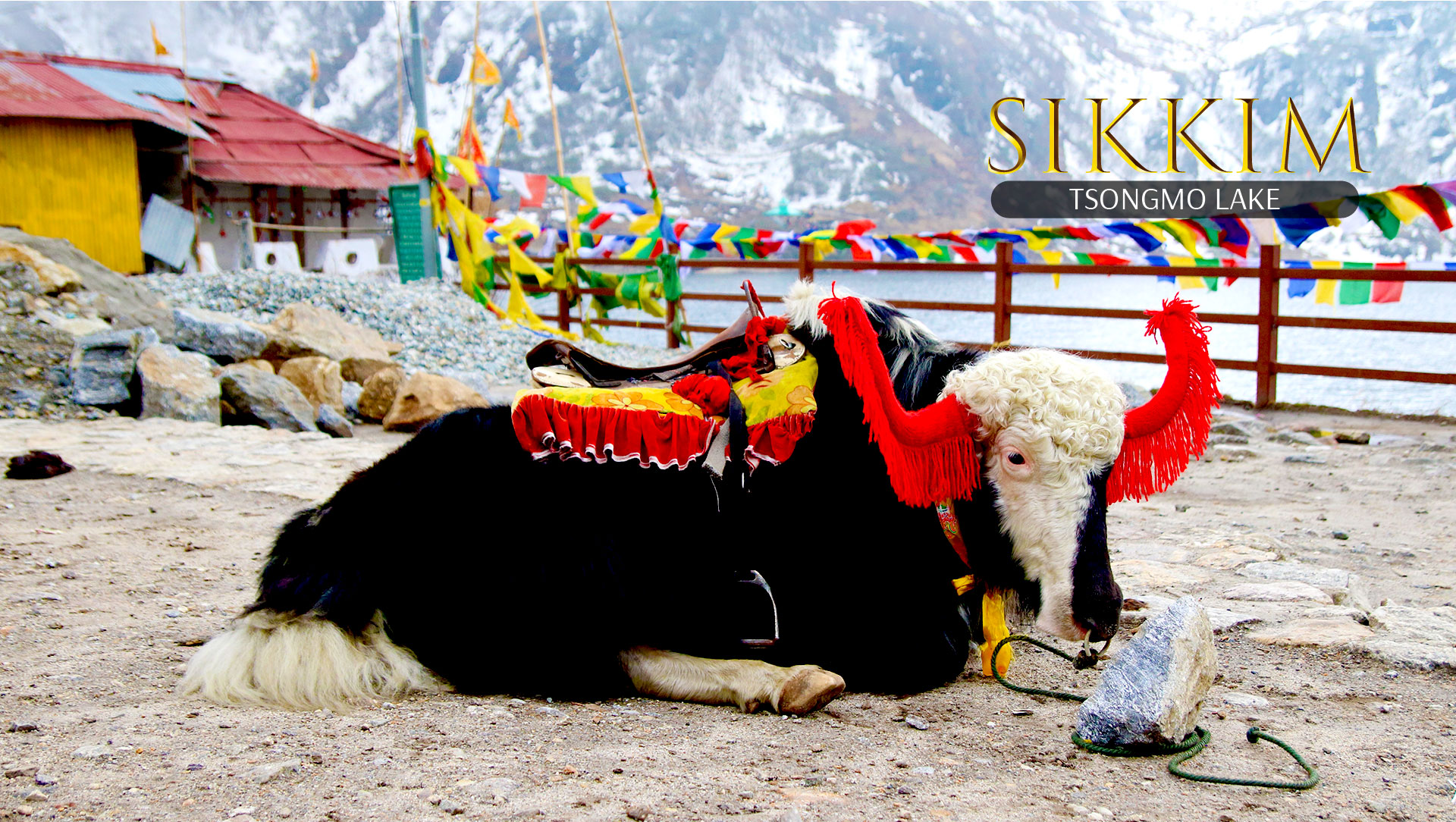 Sikkim Gangtok Darjeeling Tour Package