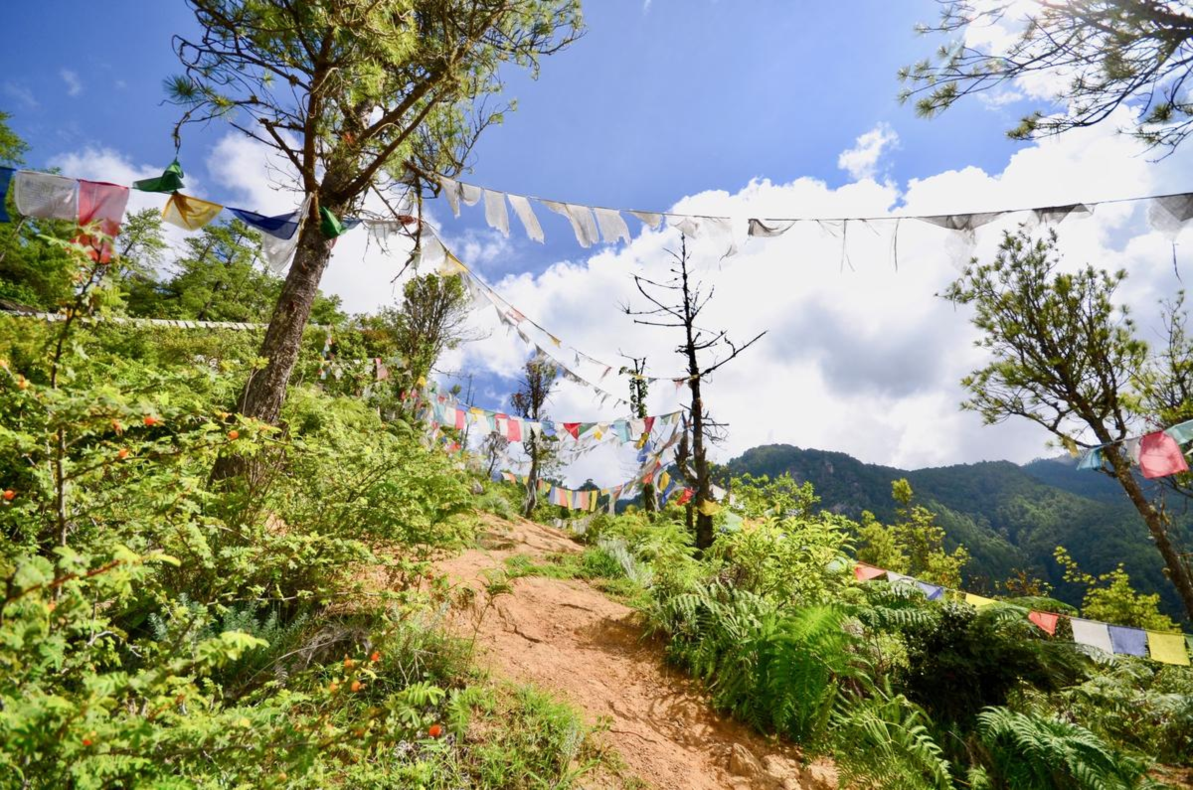Exclusive travel packages to Bhutan