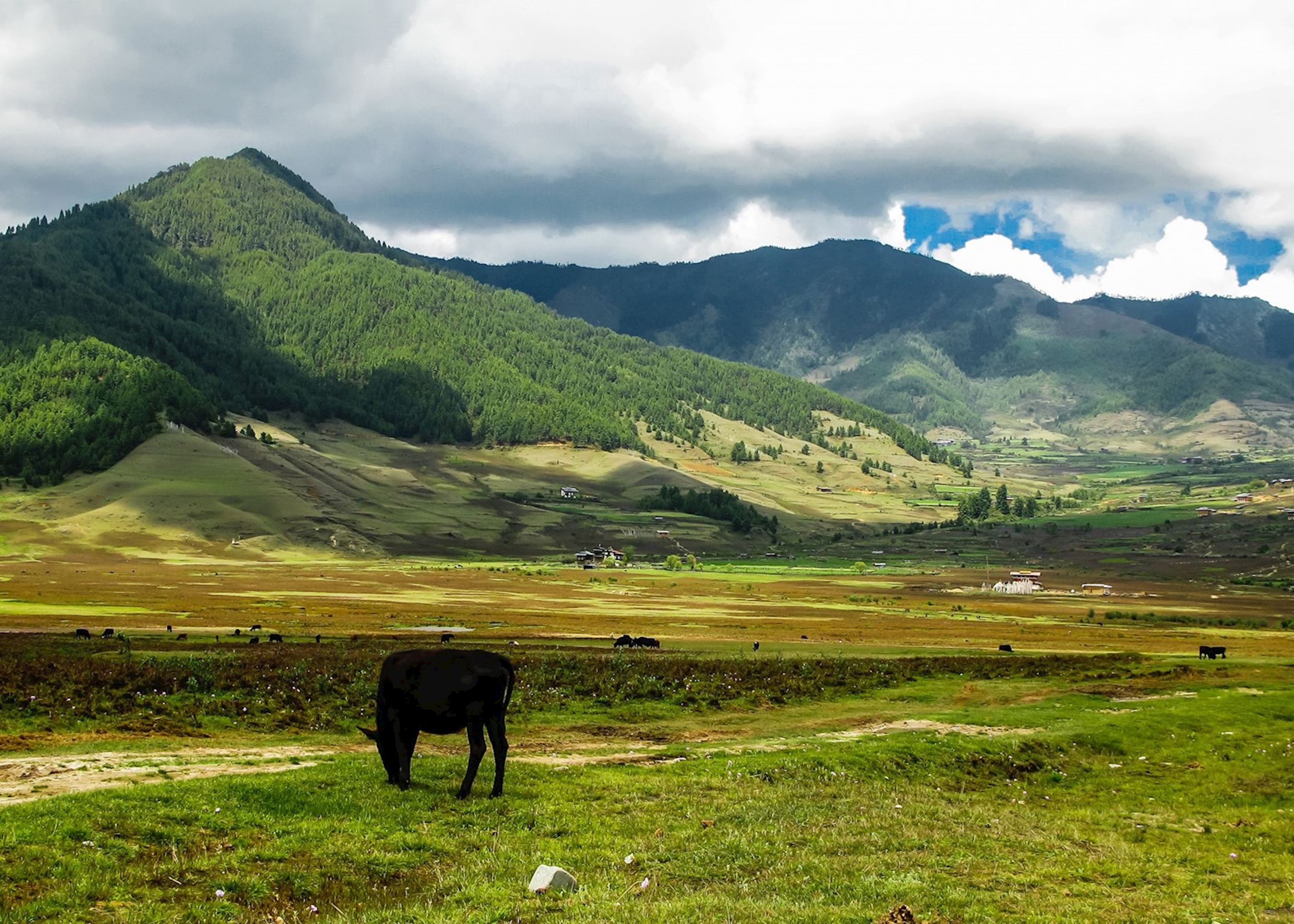 Bhutan tourism wonders